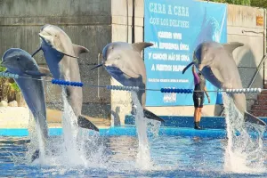 Zoo Aquarium de Madrid Tickets