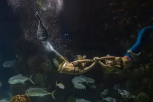 Downtown Aquarium Tickets