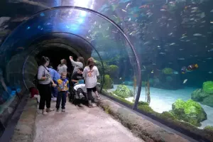 Downtown Aquarium Tickets