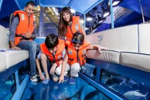 Dubai Aquarium Tickets