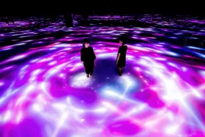 teamLab Planets Tokyo Tickets