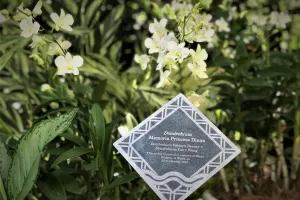National Orchid Garden Tickets