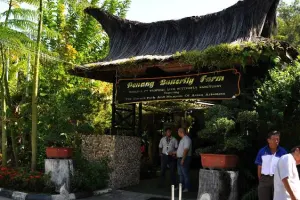 Entopia By Penang Butterfly Farm Tickets