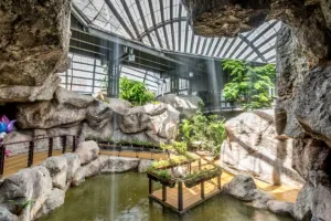 Entopia By Penang Butterfly Farm Tickets