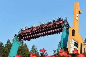 Everland Theme Park Tickets
