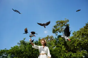 Bird Paradise Singapore Tickets