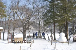 Nami Island Tours