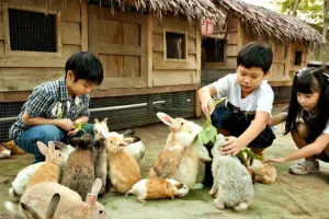 Farm in the City Tickets