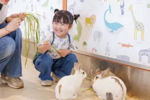Tokyo Dome City Attractions Tickets