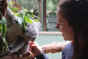 Featherdale Sydney Wildlife Park Tickets