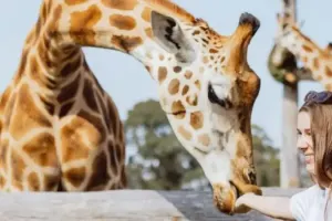 Featherdale Sydney Wildlife Park Tickets