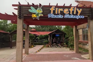 Fireflies Kuala Selangor Tours