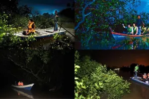 Fireflies Kuala Selangor Tours
