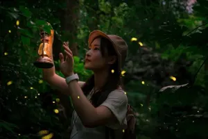 Fireflies Kuala Selangor Tours