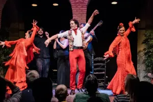 Flamenco Dance Museum Tickets