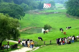 Flying Cow Ranch Tickets