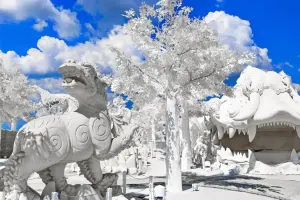 Frost Magical Ice of Siam Pattaya Tickets