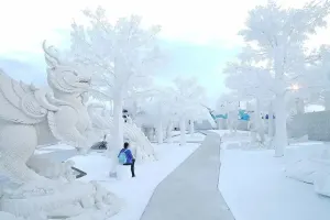 Frost Magical Ice of Siam Pattaya Tickets