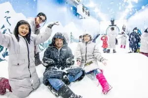 Frost Magical Ice of Siam Pattaya Tickets