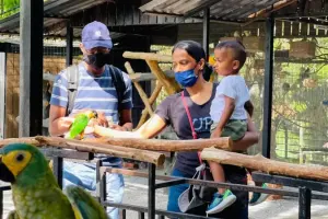 G2G Animal Garden Tickets