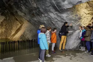 Glacier Garden of Lucerne Tickets