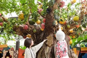 Okinawa Fruits Land Tickets