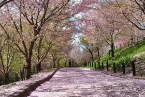 Higashiyama Zoo and Botanical Gardens Tickets