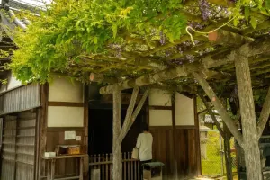 Kofuku-ji Tickets