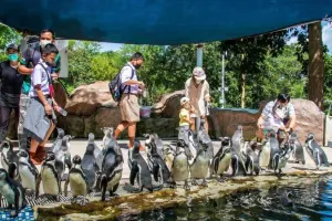 Khao Kheow Open Zoo Tickets