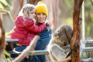 Koala Conservation Reserve Tickets