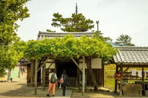 Kofuku-ji Tickets