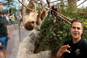 Loro Parque Tickets