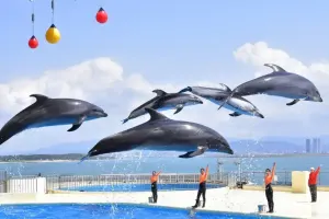 Marine World Uminonakamichi Tickets