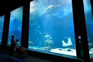 Marine World Uminonakamichi Tickets