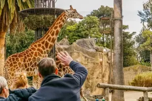 Melbourne Zoo Tickets