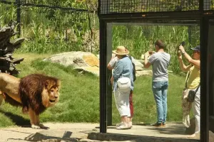 Melbourne Zoo Tickets
