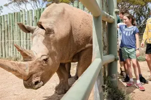Monarto Safari Park Tickets