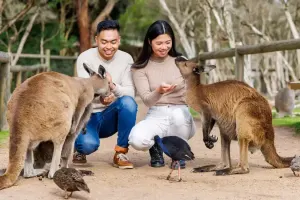 Moonlit Sanctuary Wildlife Conservation Park Tickets
