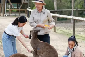 Moonlit Sanctuary Wildlife Conservation Park Tickets