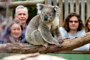 Moonlit Sanctuary Wildlife Conservation Park Tickets
