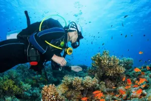 Nemo Diving Center Tickets