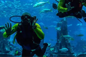 Nemo Diving Center Tickets