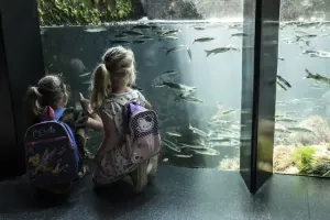 Oceanopolis Tickets