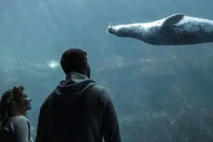Oceanopolis Tickets