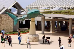 Okinawa Churaumi Aquarium Tickets