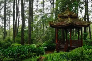 Orchid Forest Cikole Tickets