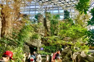 Osaka Aquarium Kaiyukan Tickets