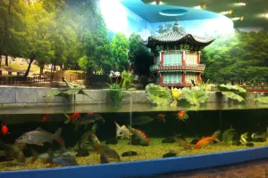 Coex Aquarium Seoul Tickets
