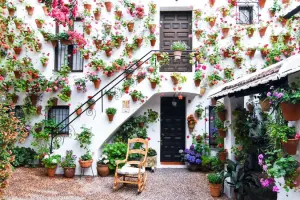 Patios Cordobeses Tour