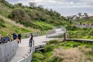 Phillip Island Tours